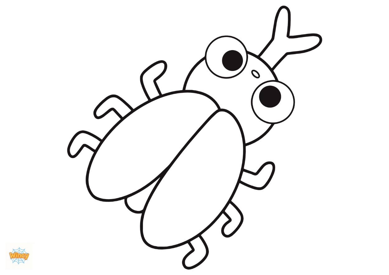 Insect, Jungle & Ocean Animal Colouring Sheet Bundle