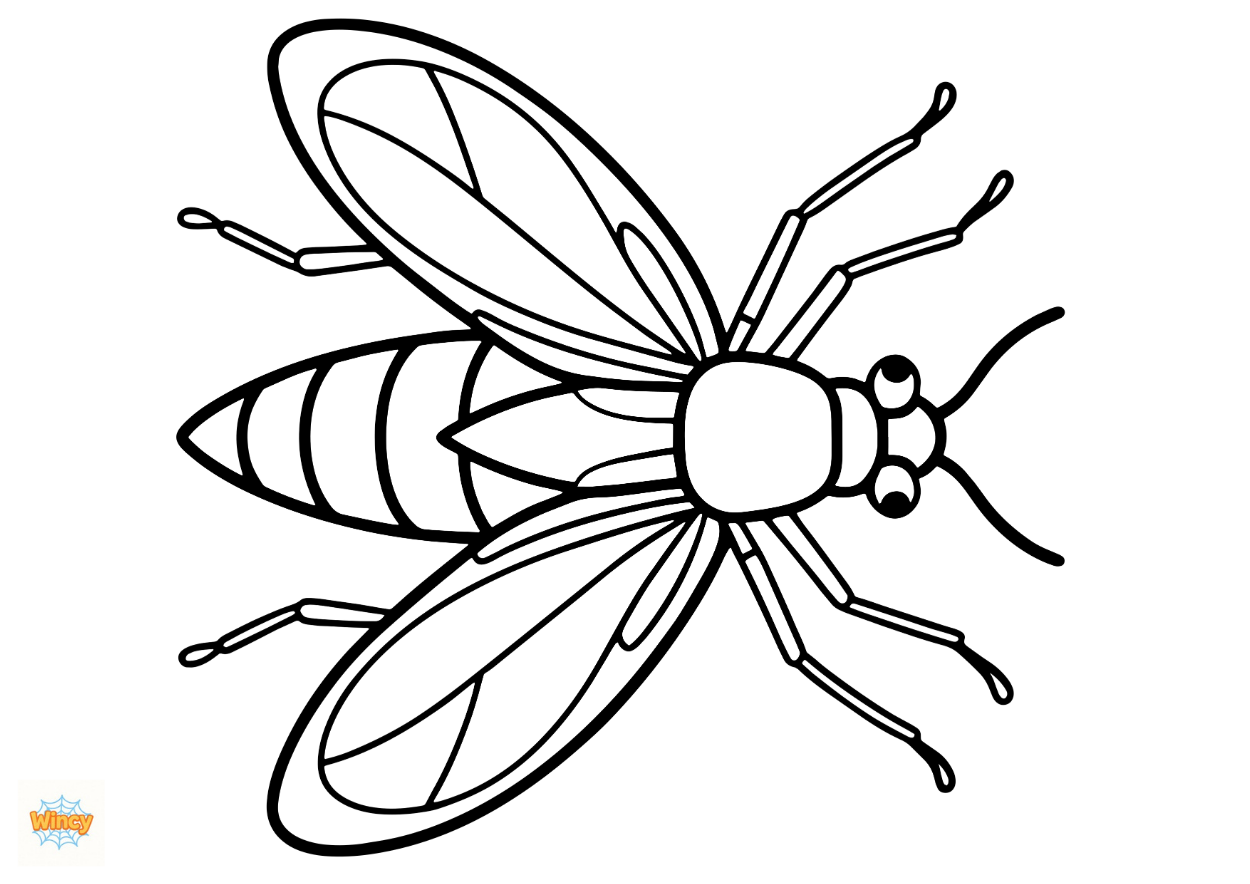 Insect, Jungle & Ocean Animal Colouring Sheet Bundle