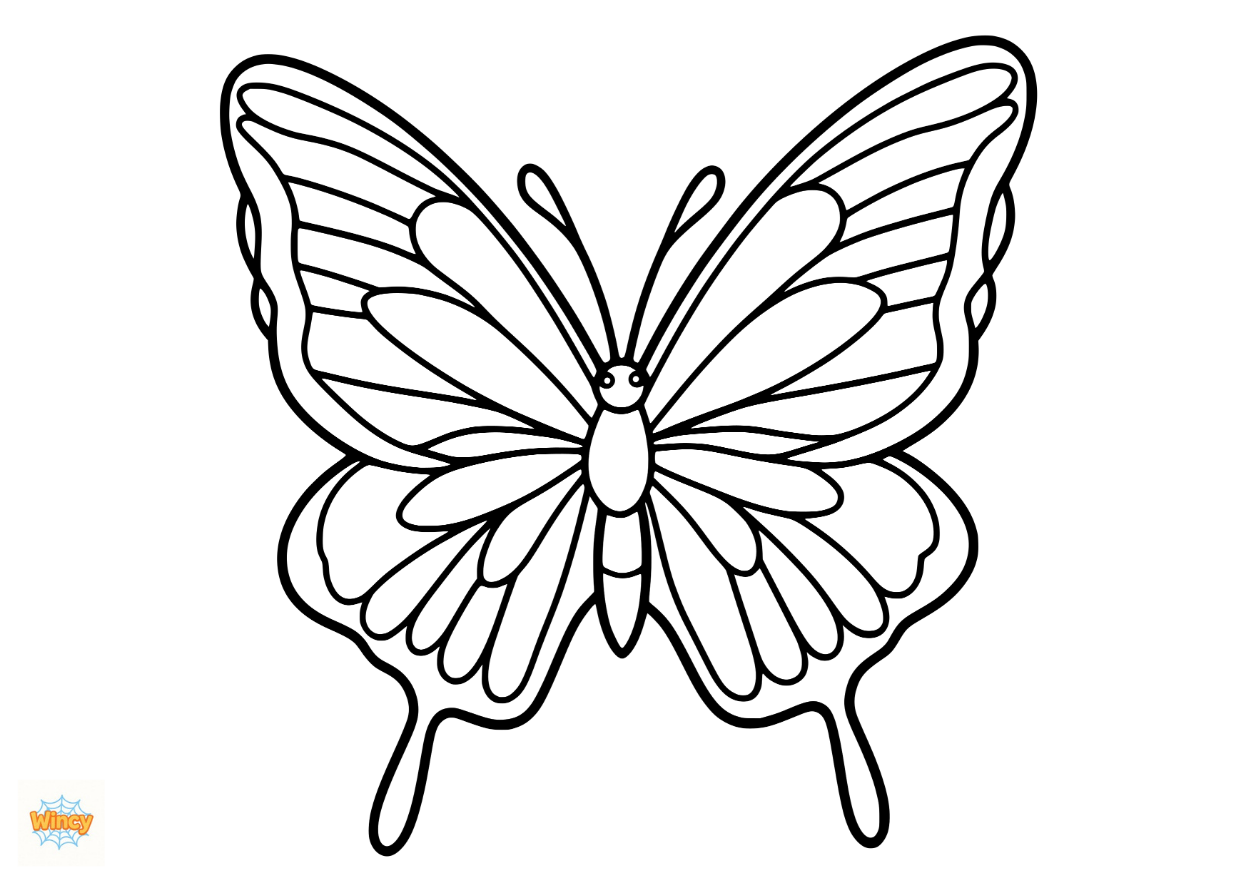 Insect, Jungle & Ocean Animal Colouring Sheet Bundle