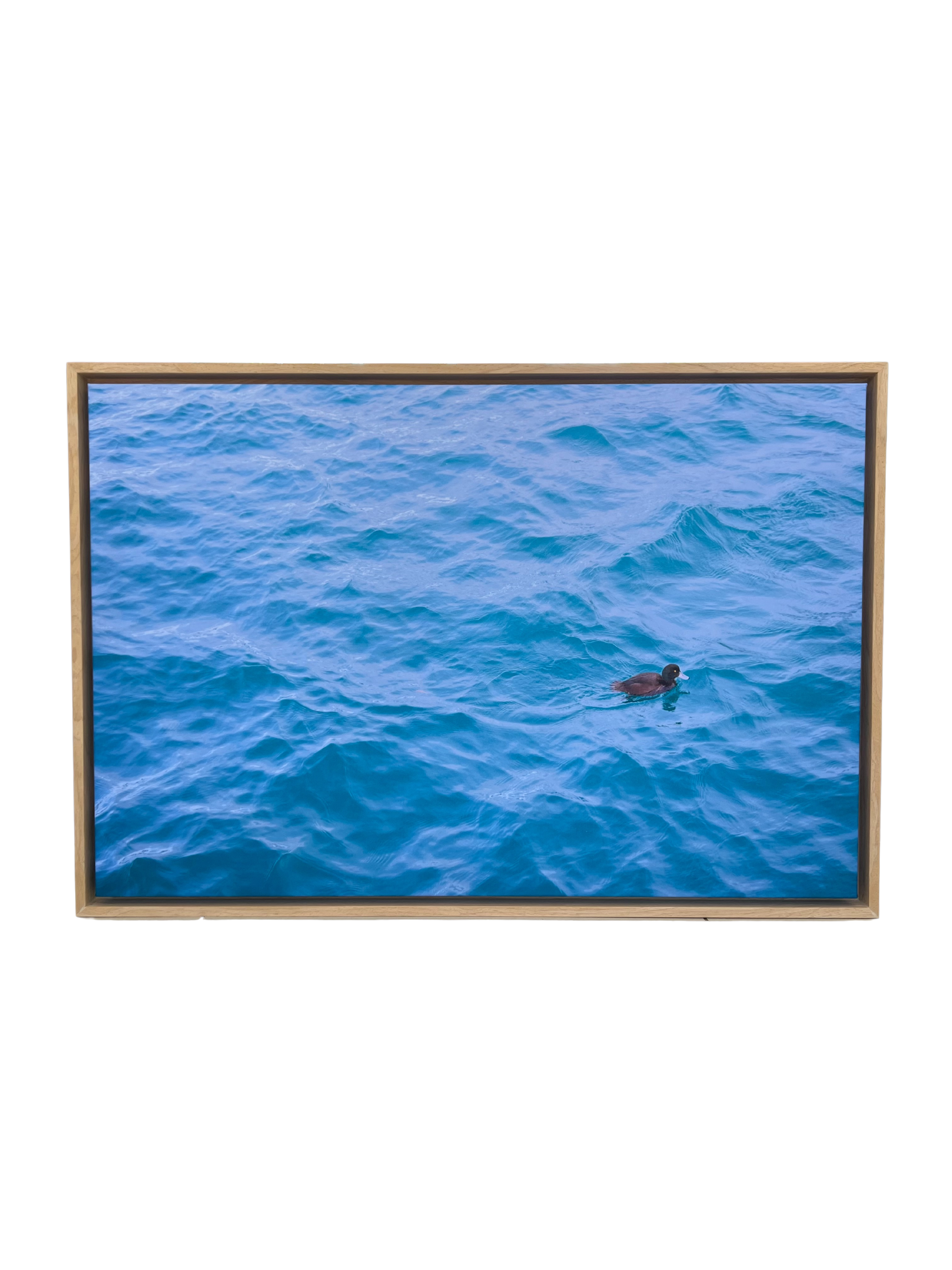 “Solitary Drift”